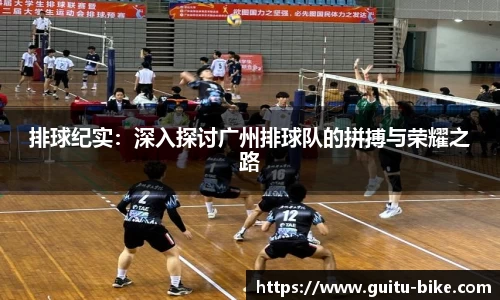 hth官网入口